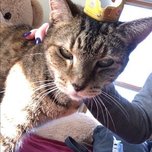 Meet your Posher, Kendra